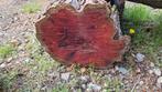 Taxus hout, Ophalen, 25 tot 50 mm, Zo goed als nieuw, Plank