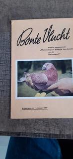Duivensport Tijdschrift 1957, Meerdere dieren, Postduif