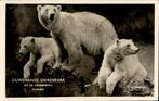 Rhenen Dierenpark Ijsberen st 1959, Verzamelen, Ansichtkaarten | Nederland, 1940 tot 1960, Gelopen, Utrecht, Verzenden