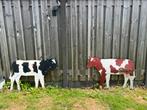 OUDE METALEN BORDEN VAN  VEEHOUDERIJ, Ophalen