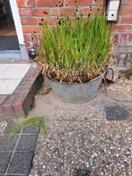 zinken tel met water planten, Tuin en Terras, Waterpartijen en Fonteinen, Ophalen of Verzenden, Gebruikt, Gietijzer, Overige typen