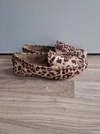 Ballerina Schoenen Dames - Maat 39 - Panterprint, Ophalen of Verzenden