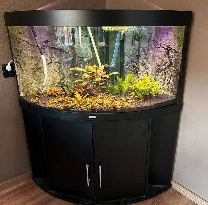 Aquarium Juwel Trigon 350, Dieren en Toebehoren, Vissen | Aquaria en Toebehoren, Zo goed als nieuw, Gevuld zoetwateraquarium, Ophalen