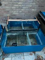 Aquarium (kweek) stelling 3 laags 7 bakken!, Dieren en Toebehoren, Vissen | Aquaria en Toebehoren, Ophalen, Gebruikt, Leeg aquarium
