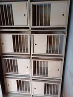 Broedbakken duiven, Dieren en Toebehoren, Ophalen of Verzenden, Hout, Vogelkooi