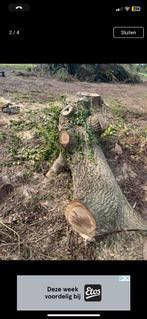 Eiken houten stam 3.5 m kan geladen worden, Tuin en Terras, Haardhout, Ophalen