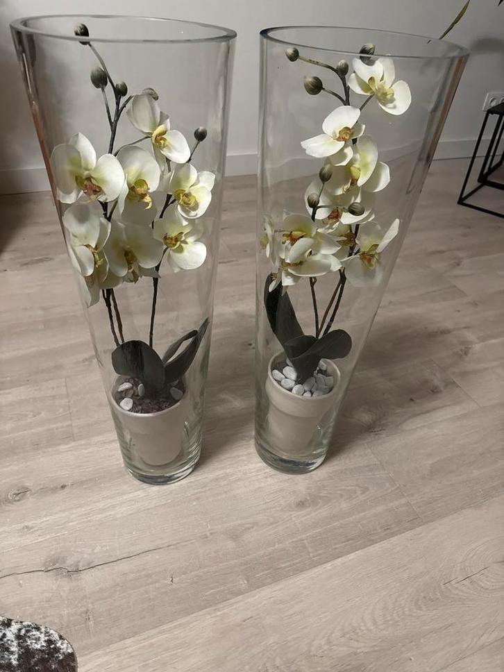 Glazen Vazen met Orchideeën, Huis en Inrichting, Woonaccessoires | Vazen, Zo goed als nieuw, Wit, 75 cm of meer, Glas, Ophalen