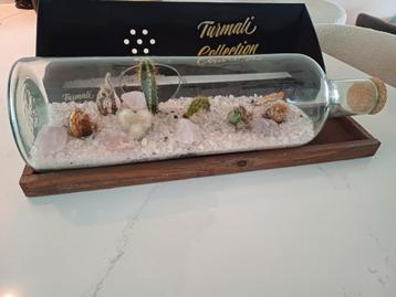 Glazen fles voor planten beschikbaar voor biedingen