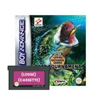 GBA | Great Outdoor Games Bass Tournament (Losse Cassette), 1 speler, Ophalen of Verzenden, Zo goed als nieuw, Simulatie