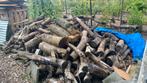 Te koop haardhout, Tuin en Terras, Haardhout, 3 tot 6 m³, Ophalen of Verzenden, Overige houtsoorten, Stammen