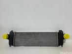 Iveco Daily IV intercooler JD127100-5790, Ophalen of Verzenden, Gebruikt