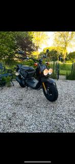 Honda Zoomer, Fietsen en Brommers, Ophalen, Overige modellen, Maximaal 45 km/u, 49 cc