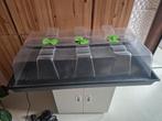 Geopod extra large. Propagator., Ophalen, Gebruikt, Kweekbak