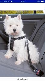 Honden autogordel maat M, Dieren en Toebehoren, Ophalen of Verzenden, Zo goed als nieuw