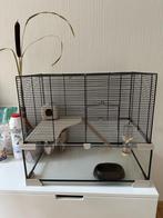 Ferplast Knaagdierenkooi, Dieren en Toebehoren, Knaagdieren en Konijnen | Hokken en Kooien, Kooi, Minder dan 75 cm, Zo goed als nieuw