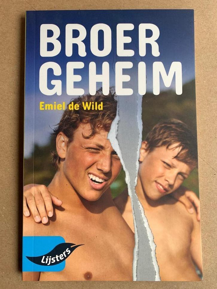 Emiel de Wild - Broergeheim, Boeken, Literatuur, Zo goed als nieuw, Ophalen of Verzenden