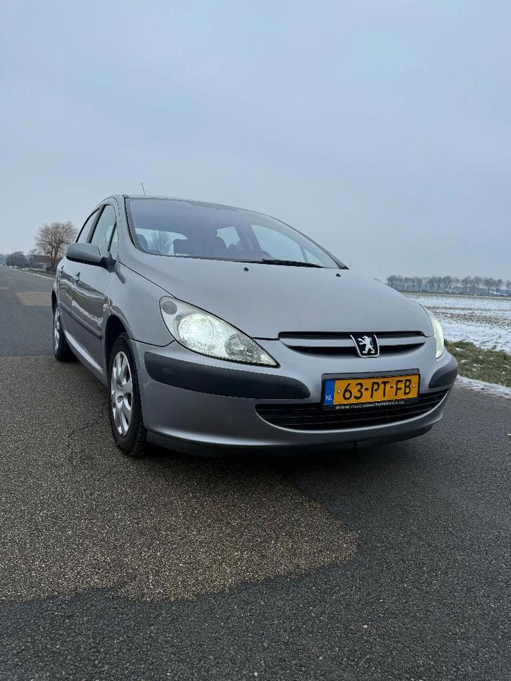 Peugeot 307 1.6 2004 |APK valid until 01-2027 | CarPlay, Auto's, Peugeot, Particulier, ABS, Airbags, Alarm, Android Auto, Apple Carplay