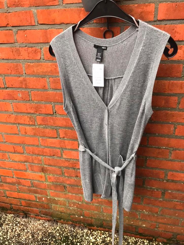 Met label: Nieuw grijs mouwloos H&M Vest met zakken maat M, Kleding | Dames, Truien en Vesten, Nieuw, Maat 38/40 (M), Grijs, Ophalen of Verzenden