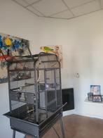 Vogelkooi strong villa andrea, Dieren en Toebehoren, Vogels | Hokken en Kooien, Ophalen, Zo goed als nieuw, Metaal, Vogelkooi