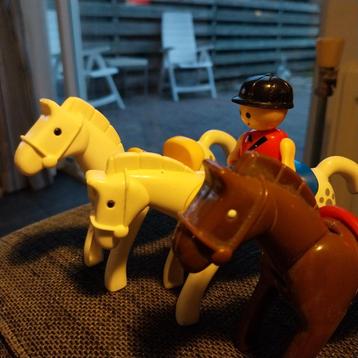 3 Paarden met  1Ruiter beschikbaar voor biedingen
