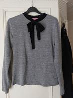 Nieuw zilvergrijs truitje,  Luna Levina, M, Kleding | Dames, Maat 38/40 (M), Luna Levina, Nieuw, Ophalen of Verzenden