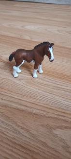 Schleich horse club clydesdale veulen, Ophalen of Verzenden, Zo goed als nieuw