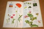 Kruiden kweken - Fotografisch overzicht & praktische gids, Ophalen of Verzenden, Gelezen, Moestuin