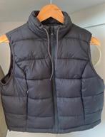 Zwarte korte bodywarmer S Primark, Kleding | Dames, Bodywarmers, Ophalen of Verzenden, Zo goed als nieuw, Zwart