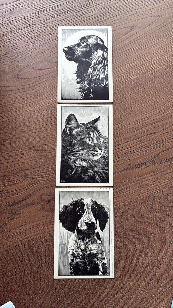 Dieren. Honden en kat, Ophalen of Verzenden, Gelopen, Overige thema's