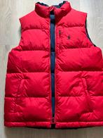 Originele dubbelzijdig bodywarmer Ralp Lauren (14-16 jaar), Kinderen en Baby's, Kinderkleding | Maat 170, Ophalen of Verzenden