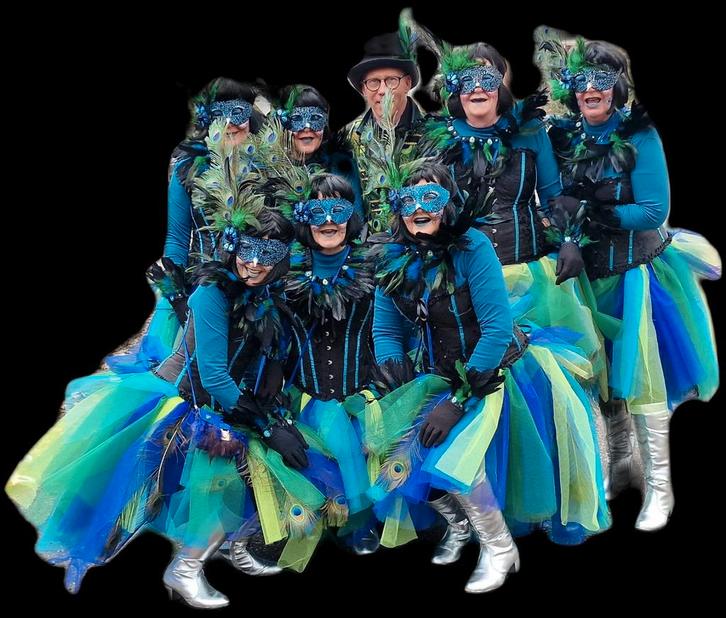 Loopgroep pauwenpakken,, Kleding | Dames, Carnavalskleding en Feestkleding, Zo goed als nieuw, Kleding, Carnaval, Ophalen