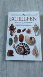 Schelpen, Ophalen of Verzenden, Zo goed als nieuw, Bloemen, Planten en Bomen