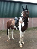 Equestrian Stockholm golden brass full, Ophalen of Verzenden