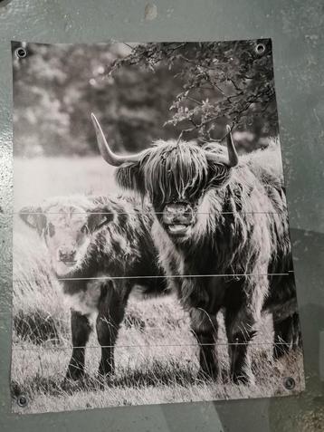 LAATSTE STUKS NU €10,- P.S.
Tuinposters
60x80cm / 80x60cm beschikbaar voor biedingen