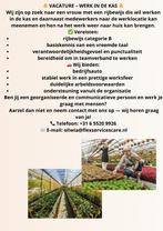 VACA, Vacatures, 33 - 40 uur, Overige niveaus, Overige vormen