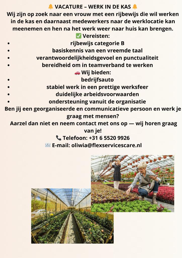 VACA, Vacatures, Vacatures | Schoonmaak en Facilitaire diensten, Overige niveaus, Overige vormen, 33 - 40 uur