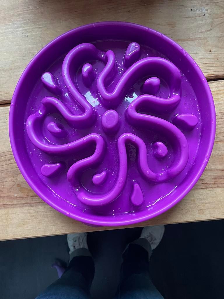 Slow bowl feeder, Ophalen of Verzenden, Zo goed als nieuw