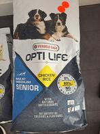 hondenbrokken, Ophalen of Verzenden, Hond