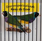 Koppel zwartkop gouldamadines split blauw