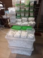 grote partij bouwsteentjes van gips, Ophalen, Nieuw, Overige typen
