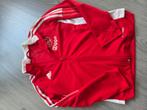 Ajax trainingspak, Maat XS of kleiner, Ophalen, Gebruikt, Trainingspak