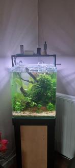 Dennerle Nanoecube met zelfbouw meubeltje en benodigdheden, Dieren en Toebehoren, Vissen | Aquaria en Toebehoren, Ophalen, Leeg aquarium
