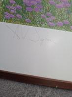 litho roofvogel buizerd A Segboer kunstwerk grafiek, Antiek en Kunst, Ophalen of Verzenden