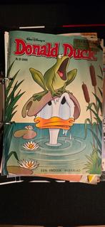 Stapel Donald Duck weekblad uit 2000, Meerdere comics, Ophalen of Verzenden, Gelezen, Europa