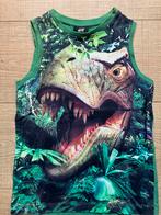 2 Jongens Tanktops - maat 110/116, Kinderen en Baby's, Kinderkleding | Overige, Ophalen, Gebruikt, Jongen