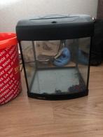 Aquarium, Dieren en Toebehoren, Vissen | Aquaria en Toebehoren, Verzenden, Zo goed als nieuw, Leeg aquarium