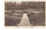 FREDRIKSOORD - eenjarige bloementuin, Ophalen of Verzenden