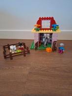 Lego Duplo set 10500 Paardenmanege, Kinderen en Baby's, Speelgoed | Duplo en Lego, Ophalen, Zo goed als nieuw, Duplo