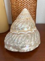 Astrea Undosa zeeschelp met parelmoer effect, Huis en Inrichting, Woonaccessoires | Overige, Ophalen of Verzenden, Zo goed als nieuw