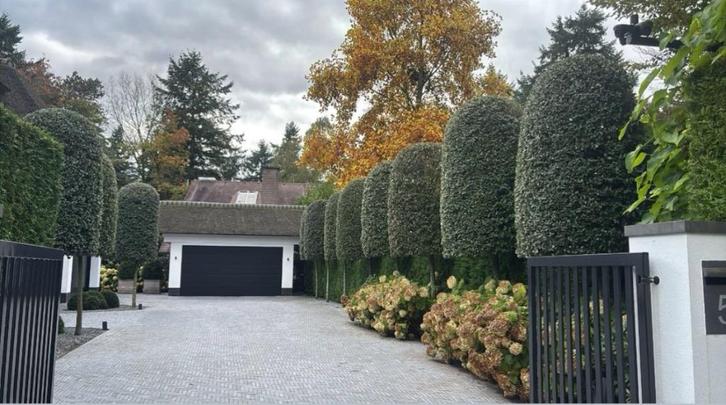 Vietnamees Hardsteen 20x5x5cm, Tuin en Terras, Tegels en Klinkers, Nieuw, Klinkers, Natuursteen, 10 m² of meer, Ophalen of Verzenden